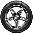 Шина Nexen Winguard WinSpike 3 215/50 R17 95T XL