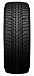 Шина Nexen Winguard Ice Plus 245/45 R18 100T XL